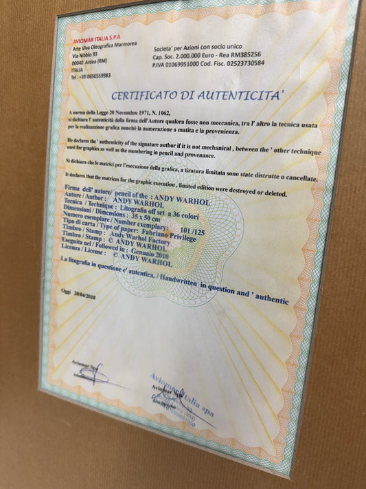 Andy Warhol Mickey Mouse Zeefdrukken