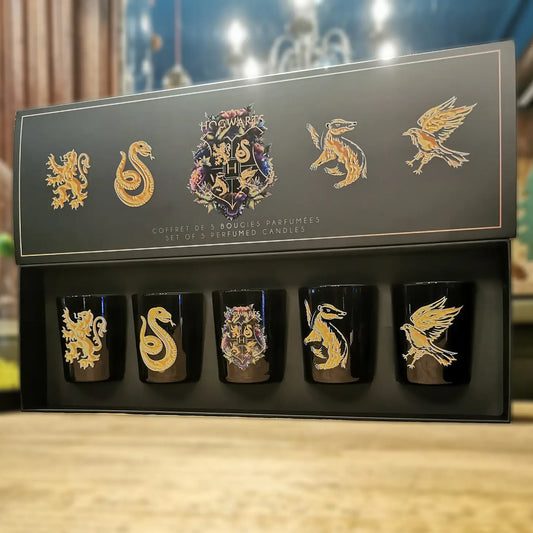 Harry Potter box met 5 geurkaarsen Maison Francal - Started With The Mouse